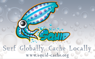 Squid3 Web Proxy Configuration Guide