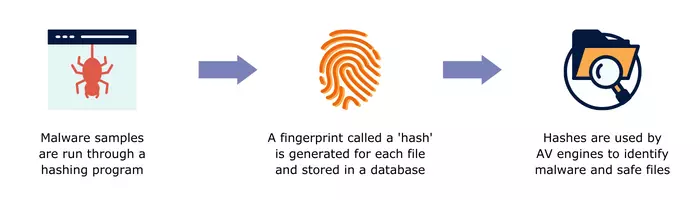 Malware Hashes and Hash Functions